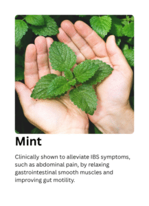 GutPepcor_Mint