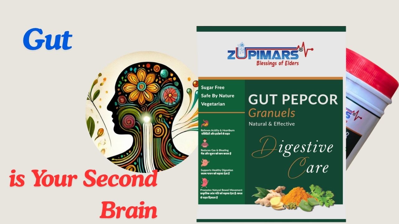 Zupimars Gut Pepcor – natural supplement to support gut-brain health