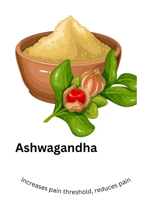 Zupimars_Ashwagandha_1