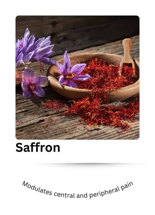 Zupimars_Saffron