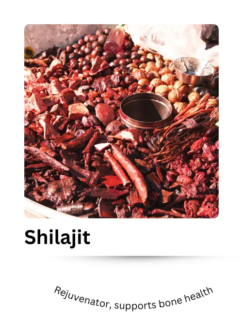 Shilajit herb for joint strength and vitality - Zupimars.