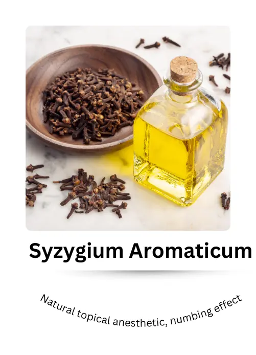 Zupimars_Syzgium_Aromaticum