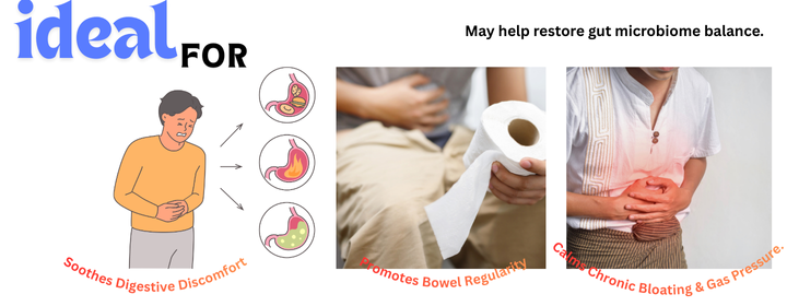 Zupimars_Gut_Pepcor Zupimars_Gut_Pepcor